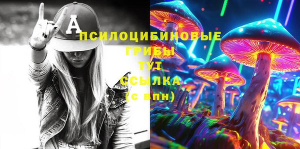 амф Богданович