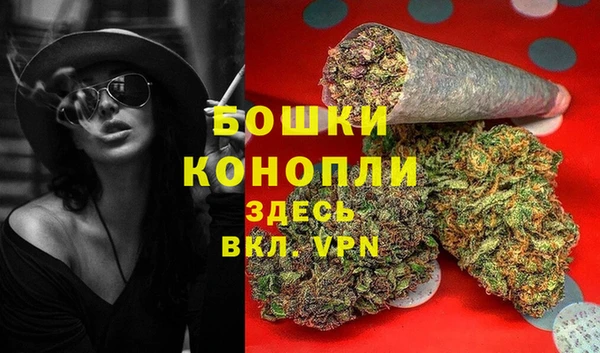 амф Богданович